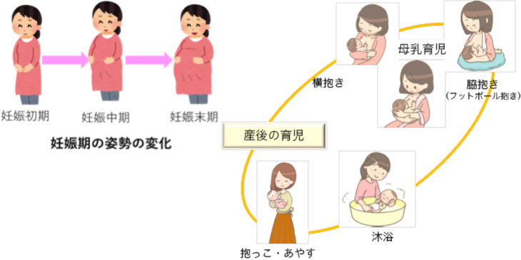 妊娠期・産後の授乳姿勢の変化
